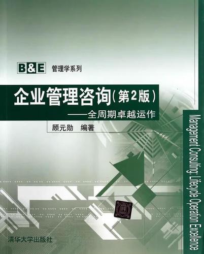 企业再造的逻辑 顾元勋的管理咨询智慧